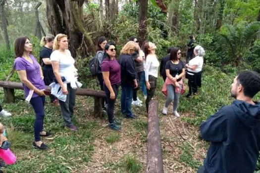 Projeto Serra do Mar realiza formação pedagógica com visita à Mata Atlântica