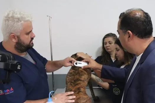 Prefeitura de Mauá inicia serviço de microchipagem em pets