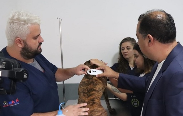 Prefeitura de Mauá inicia serviço de microchipagem em pets