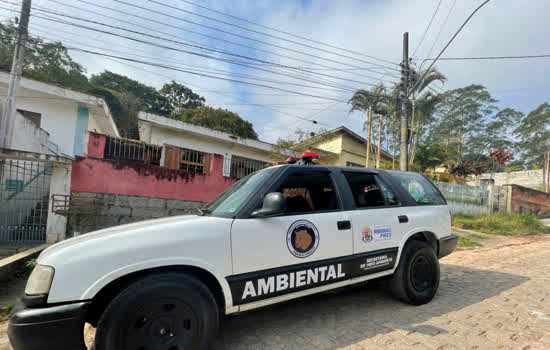 Ribeirão Pires orienta sobre maus tratos aos animais domésticos