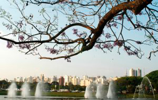 Qualidade do ar na Região Metropolitana de SP registra melhora