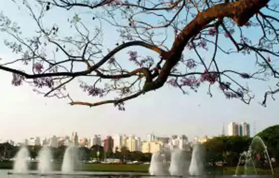 São Paulo com ar abafado e pancadas de chuva nesta quinta