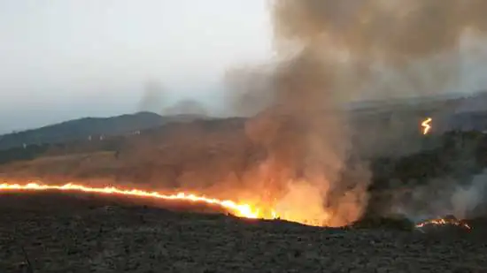 Uso irregular do fogo e vandalismo estão entre os motivos que causam incêndios florestais