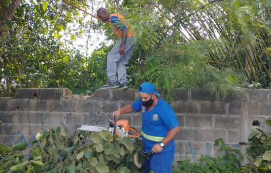 Defesa Civil atende ocorrência de árvores caídas em Ribeirão Pires