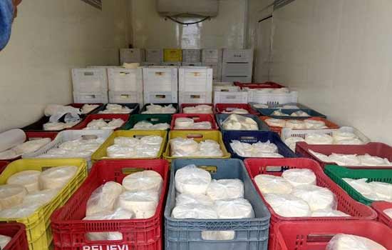 3 toneladas de queijo impróprios para consumo foram apreendidos em São Paulo