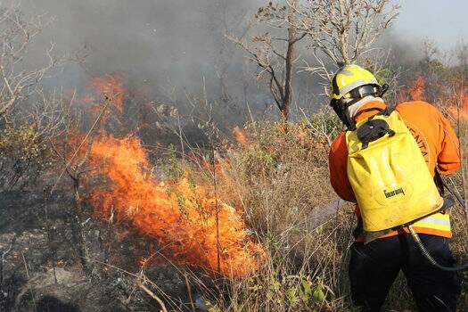 Campanha vem conscientizar sobre riscos de queimadas durante a seca