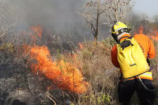 Ações do país evitaram cenário pior de secas e queimadas, diz Marina