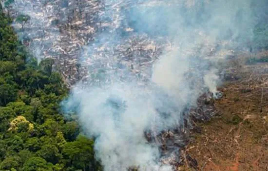 Acre decreta estado de emergência por incêndios nas florestas