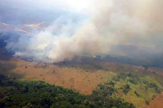 Queimada na Amazônia em junho é a maior dos últimos 13 anos