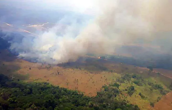 Queimada na Amazônia em junho é a maior dos últimos 13 anos