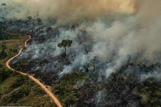 Não é bem assim: Mourão apresenta a Amazônia aos Europeus