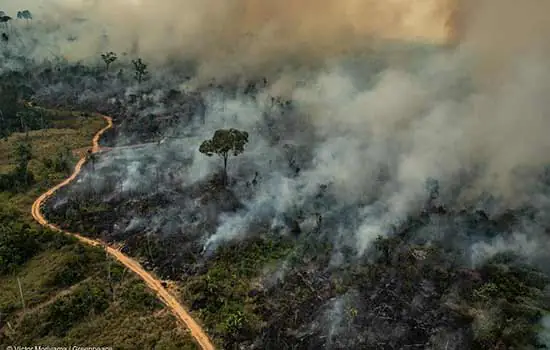 Não é bem assim: Mourão apresenta a Amazônia aos Europeus