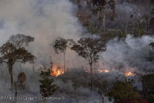 Greenpeace divulga imagens inéditas de queimadas na Amazônia