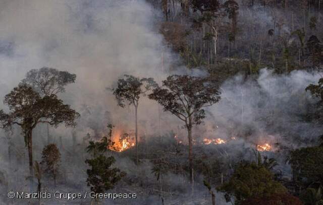 Greenpeace divulga imagens inéditas de queimadas na Amazônia