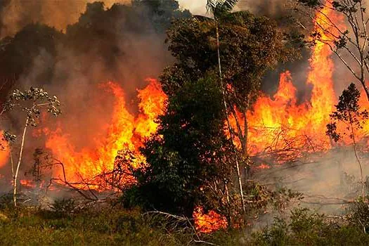 Decreto que proíbe queimadas controladas na Amazônia por 120 dias sai na próxima semana