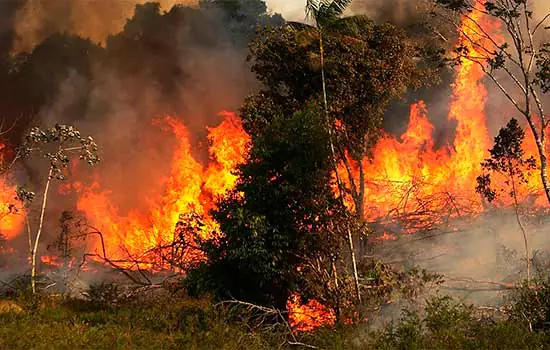 Decreto que proíbe queimadas controladas na Amazônia por 120 dias sai na próxima semana