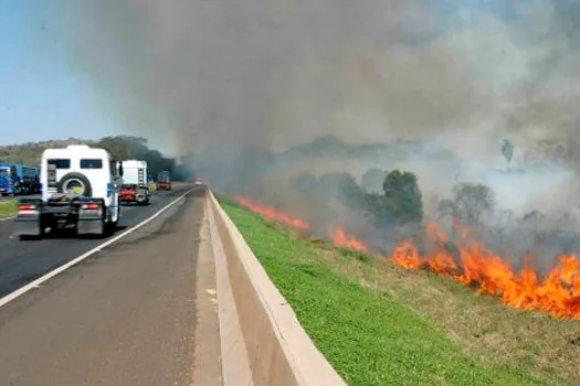 Queimadas na beira de rodovias paulistas caem pela metade em 2019