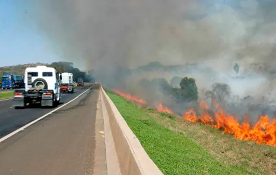 Queimadas na beira de rodovias paulistas caem pela metade em 2019