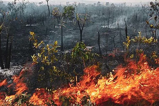 Amazônia tem junho com maior número de focos de incêndio desde 2007