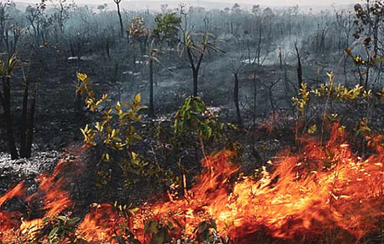 Amazônia tem junho com maior número de focos de incêndio desde 2007