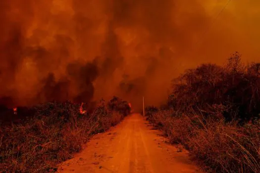 MT pede Força Nacional contra fogo no Pantanal e demais regiões do Estado_x000D_