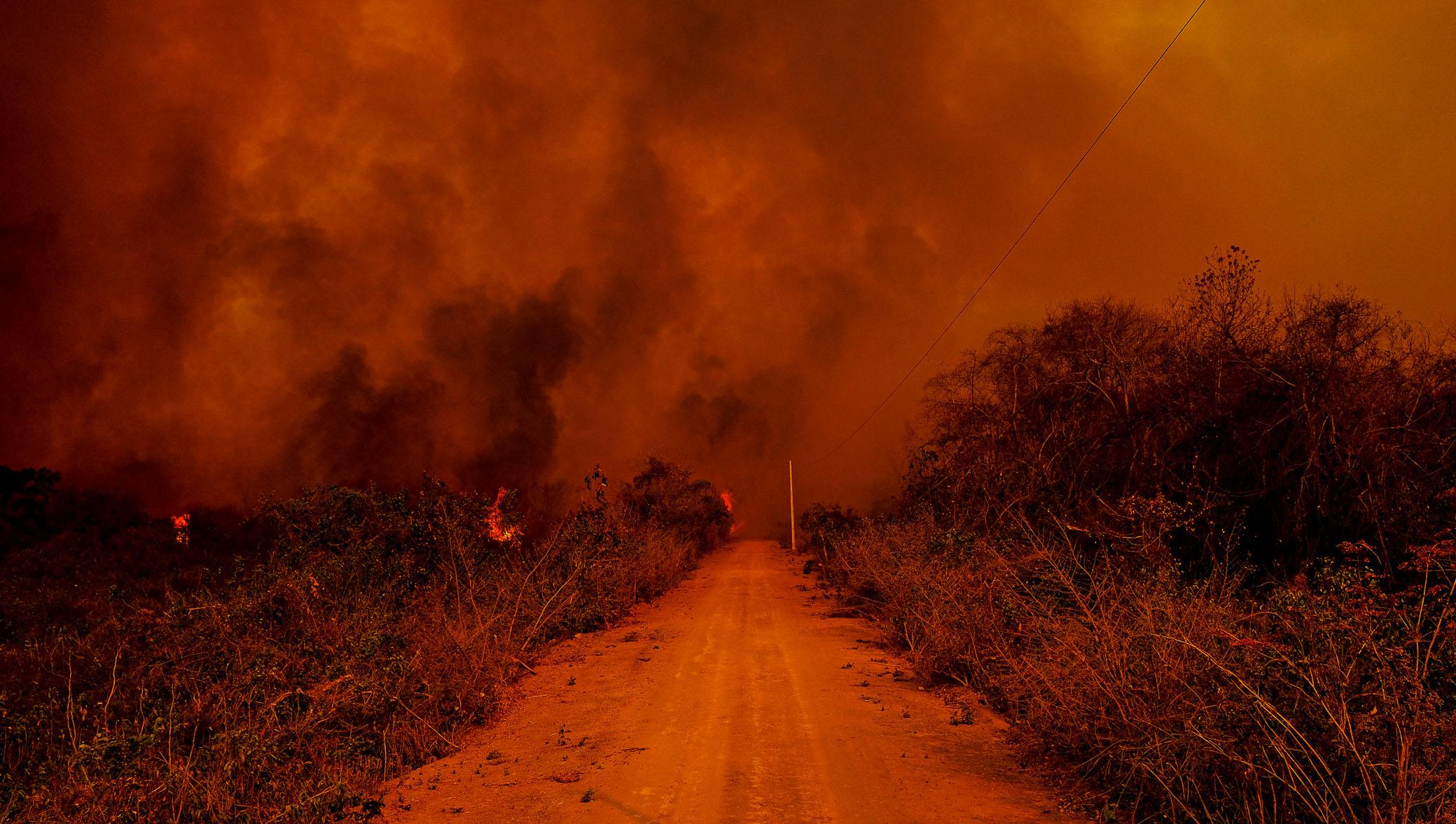 MT pede Força Nacional contra fogo no Pantanal e demais regiões do Estado_x000D_