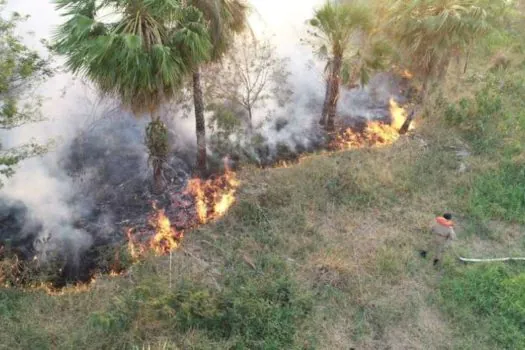 Pantanal tem recorde de queimadas em 22 anos no MS