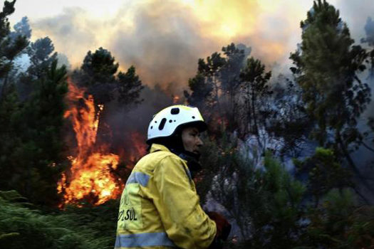 Todas as regiões de Portugal estão em alerta para risco elevado de incêndios