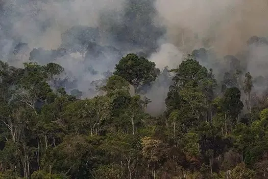 Queimadas na Amazônia têm alta de 28% no mês de julho, informa Inpe