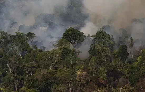 Queimadas na Amazônia têm alta de 28% no mês de julho