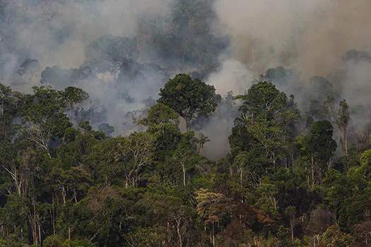 Governo pretende proibir queimada na Amazônia por quatro meses