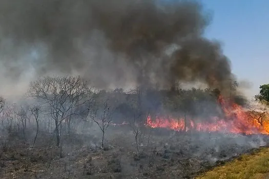 Plano ABC+ entra em vigor em setembro e vai reduzir emissão de carbono