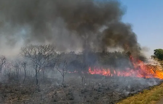 Plano ABC+ entra em vigor em setembro e vai reduzir emissão de carbono