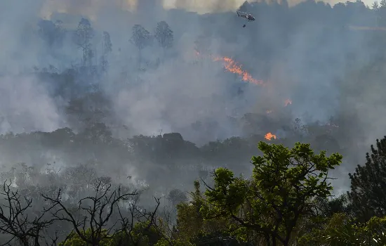 Decreto suspende queimadas em todo território nacional