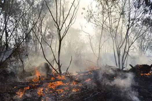 Polícia do Rio realiza operações contra suspeitos de causar incêndios