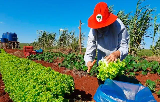 Governo apresentará plano emergencial de reforma agrária e diretoria regional do Incra