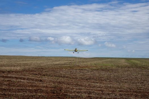 Reforma Tributária fala em ‘meio ambiente’, mas desonera agrotóxico