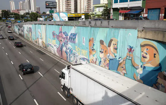 Santo André inicia renovação de grafites da avenida Santos Dumont