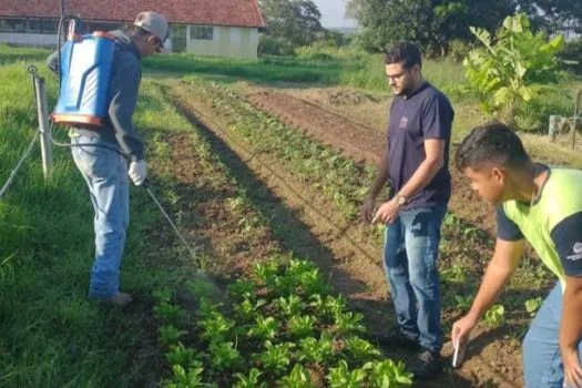 Etec cria repelente orgânico que combate pragas na produção agrícola