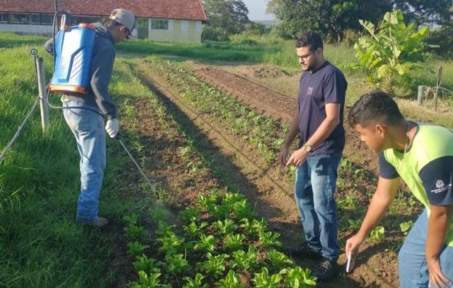 Etec cria repelente orgânico que combate pragas na produção agrícola