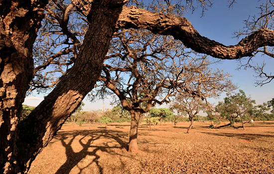 Mudanças no clima agravam abastecimento de água e segurança hídrica