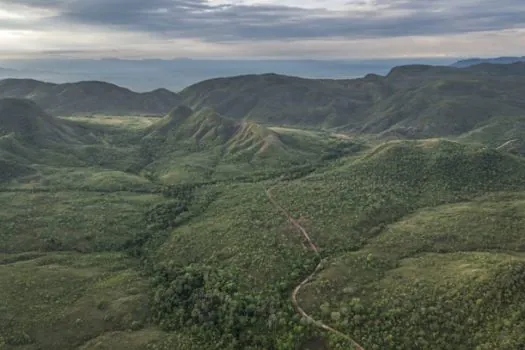 Dia Nacional do Cerrado: Proteção é fundamental para garantir água, energia e alimentos