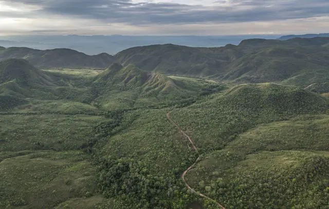 Dia Nacional do Cerrado: Proteção é fundamental para garantir água