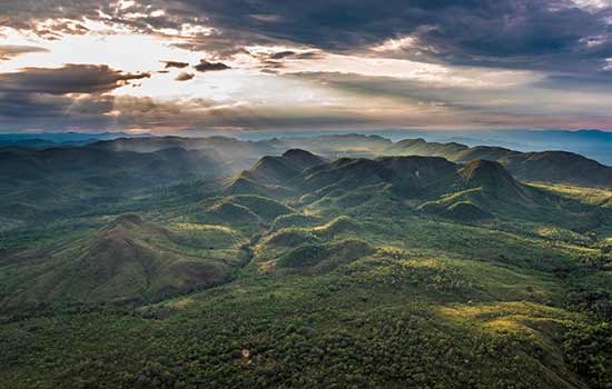 Áreas naturais protegidas oferecem serviços essenciais à humanidade