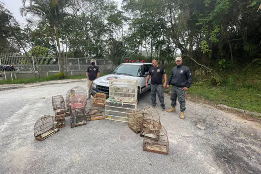 Equipe Ambiental de Ribeirão Pires resgata 37 aves de cativeiro clandestino