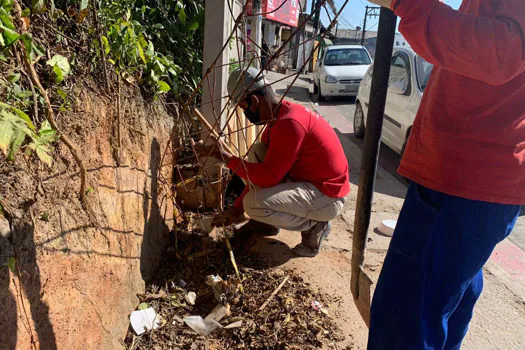 Obras de cercamento no Parque do Pedroso são retomadas