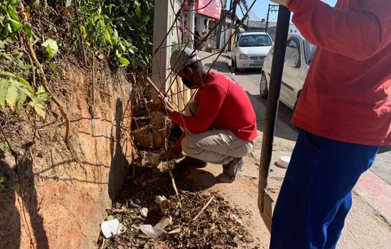 Obras de cercamento no Parque do Pedroso são retomadas