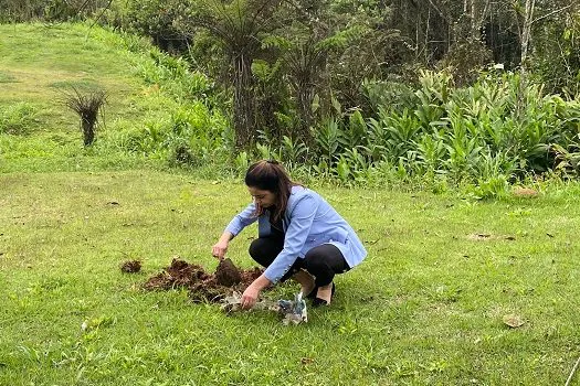 Meio Ambiente de Ribeirão Pires promove atividade em celebração ao Dia da Árvore