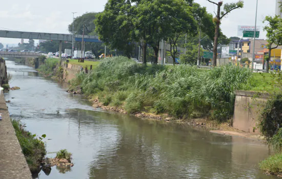 Semasa abre inscrições para novo minicurso on-line sobre Rios Urbanos