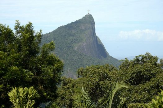 Alerj promove mês de conscientização sobre o meio ambiente